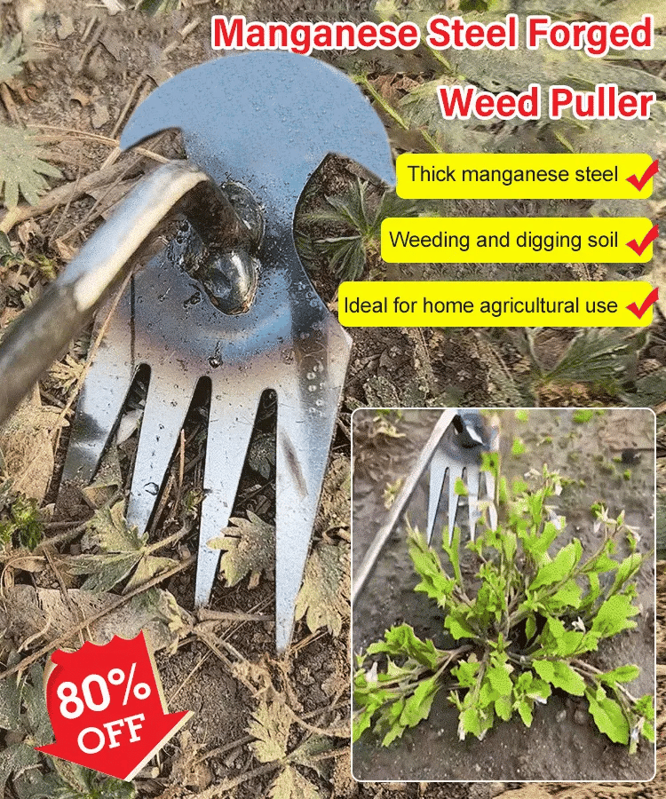 WeedMaster weeding tool